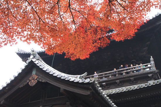南禅寺 紅葉の盛り_e0048413_22271883.jpg