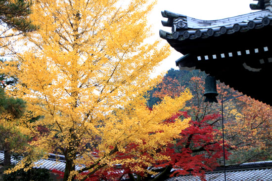 南禅寺 紅葉の盛り_e0048413_22273913.jpg
