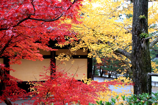 南禅寺 紅葉の盛り_e0048413_22275221.jpg