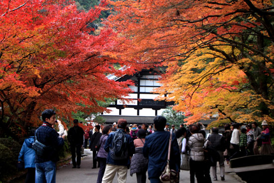 南禅寺 紅葉の盛り_e0048413_22281847.jpg