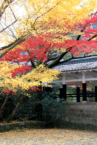 南禅寺 紅葉の盛り_e0048413_22284676.jpg