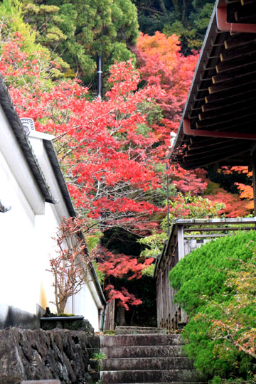 南禅寺 紅葉の盛り_e0048413_22285824.jpg