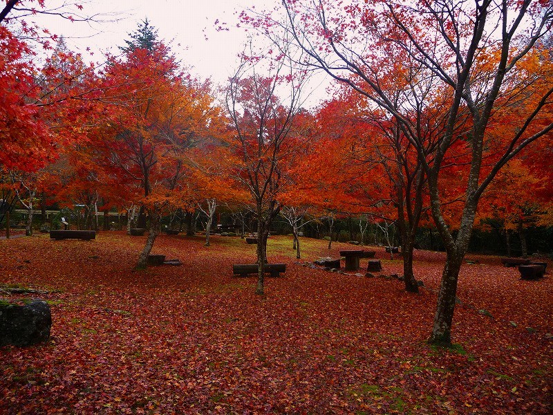f0182513_2116425.jpg