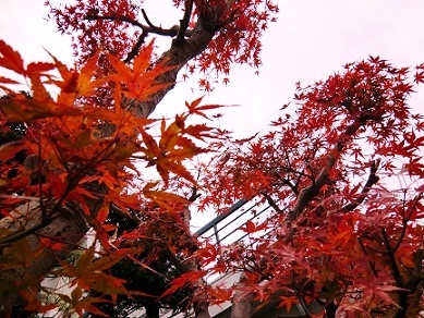 c0185914_1147148.jpg