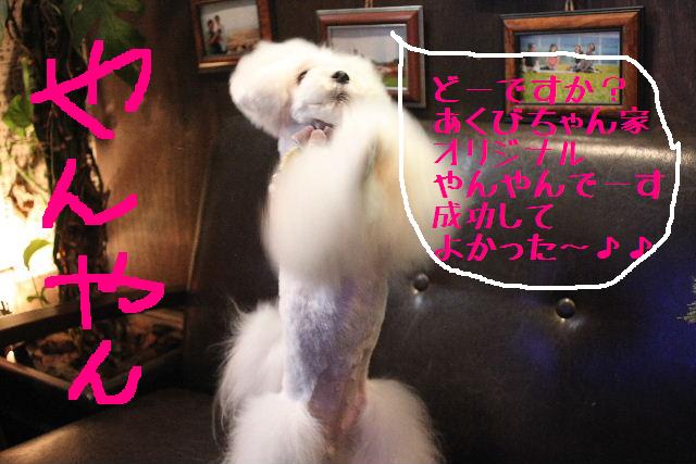 こんにちは！！！_b0130018_16142449.jpg