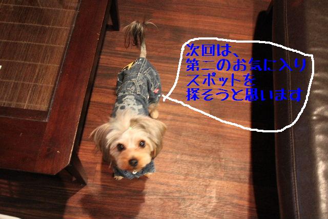 こんにちは！！！_b0130018_16221125.jpg