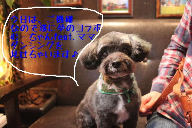 こんにちは！！！_b0130018_169682.jpg