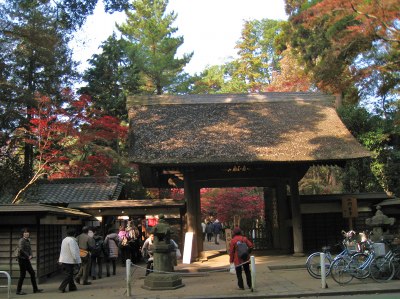 e0117318_18353850.jpg