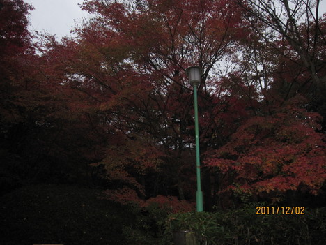 a0238019_2125618.jpg