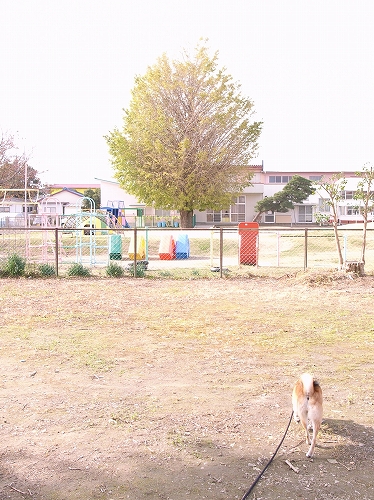 b0225620_528501.jpg