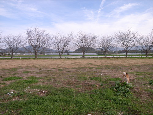 b0225620_5325539.jpg