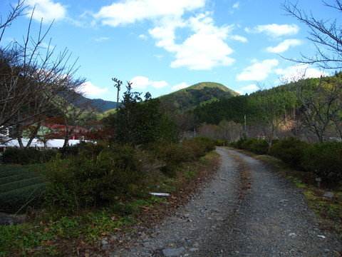d0197620_1033544.jpg