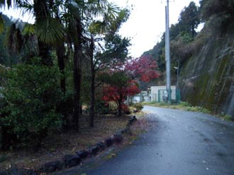 f0087620_166669.jpg