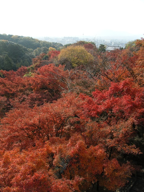 《3》 着物で♪ 友と、京都散策・・・清水寺、円山公園、知恩院、 青蓮院門跡_e0071524_20281462.jpg