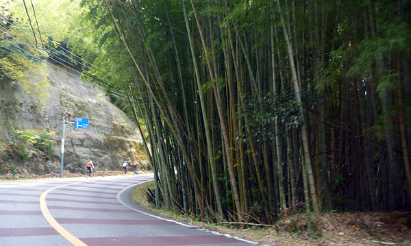 e0089826_2281757.jpg