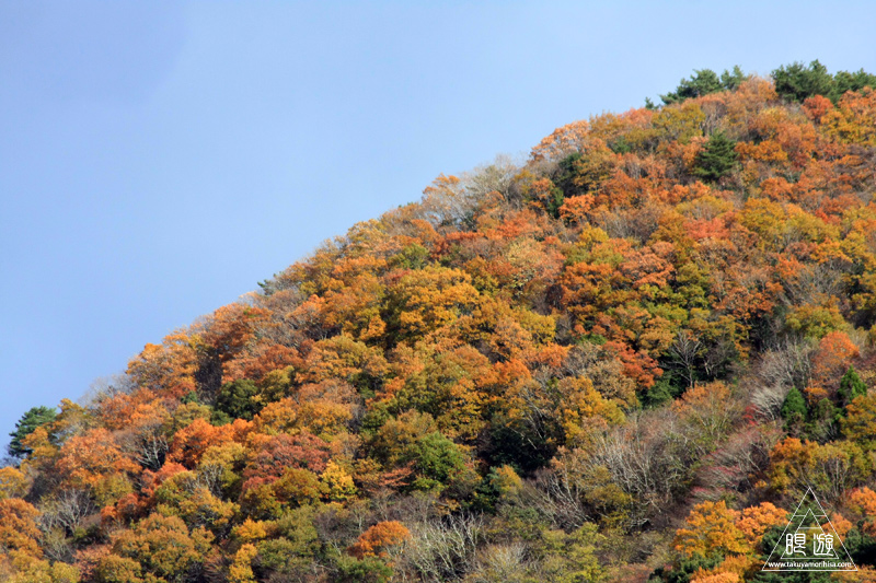 210 オシドリ観察小屋 ~美しき大山~_c0211532_12313477.jpg