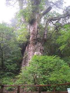 f0224632_1142950.jpg