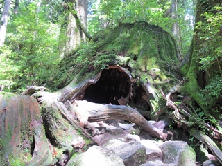 f0224632_1184968.jpg