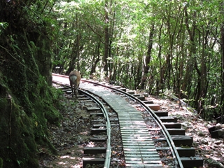 f0224632_1233218.jpg