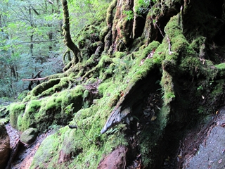 f0224632_129537.jpg