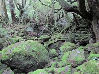 f0224632_1295727.jpg