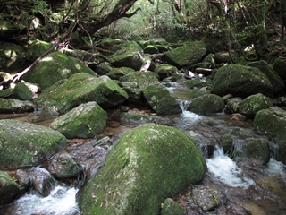 f0224632_1312533.jpg