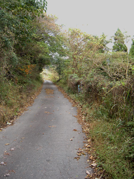 c0047341_20411779.jpg