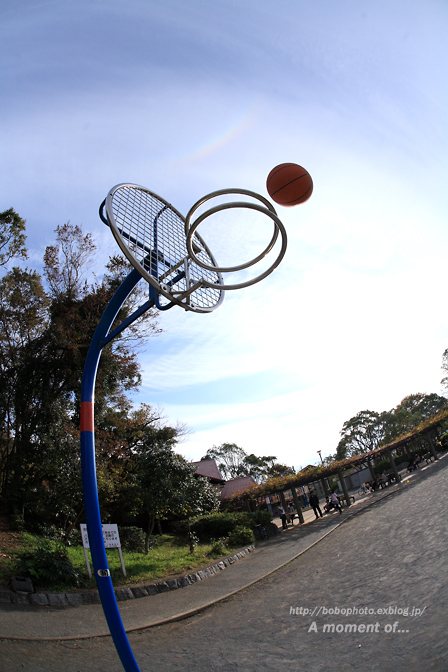 d0143741_02527.jpg