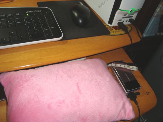 e0060041_6415434.jpg