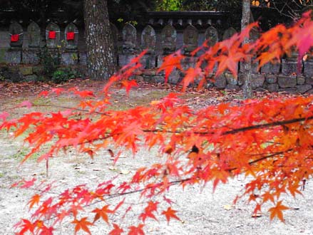 西大寺境内の紅葉_a0100742_9141280.jpg