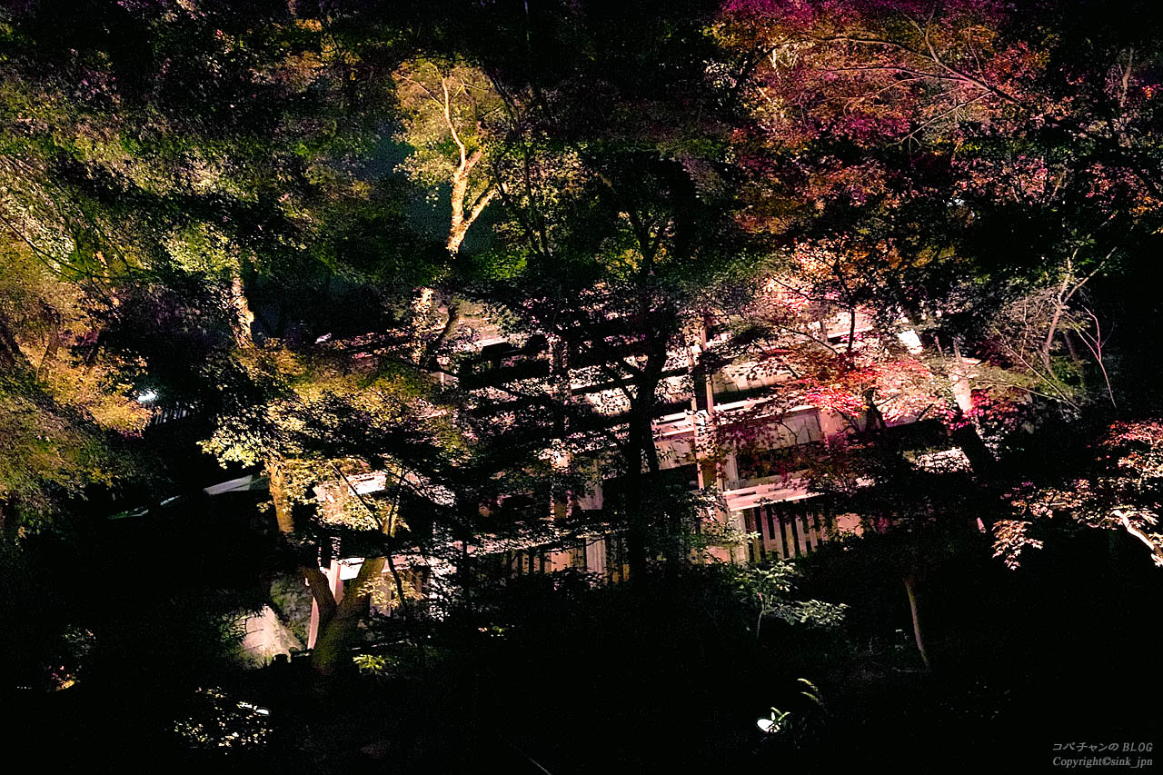 夜の清水寺_c0009042_53162.jpg