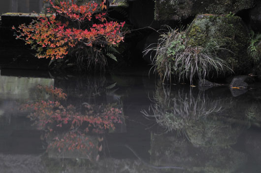 c0093046_195550.jpg