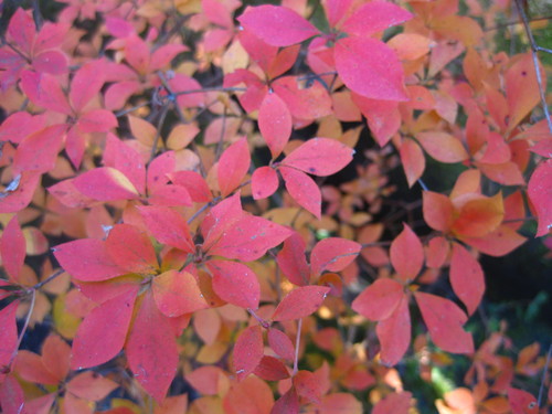 b0242248_2111579.jpg