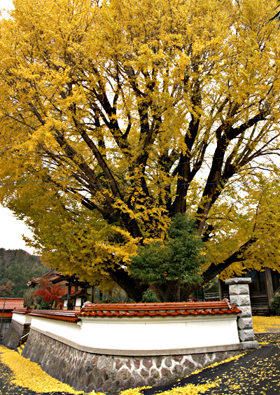 f0214649_69986.jpg