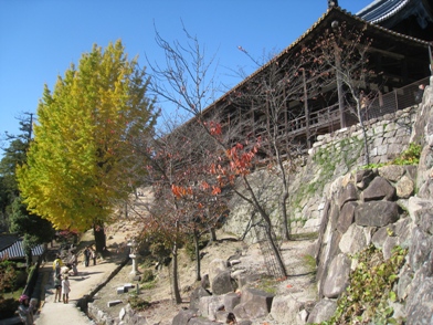 f0202151_21293793.jpg