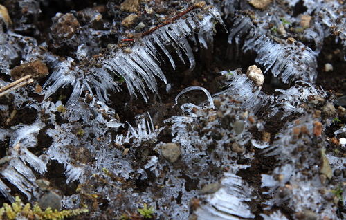 b0223754_22341629.jpg