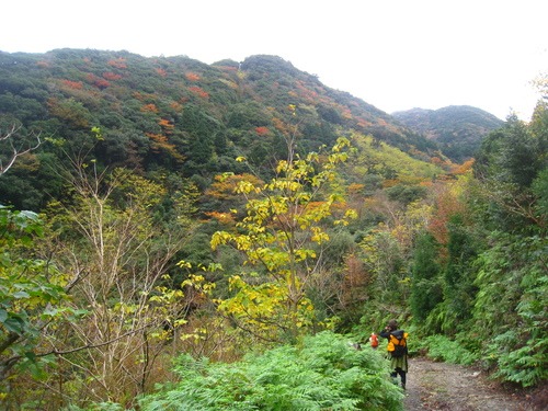 b0160957_1092630.jpg