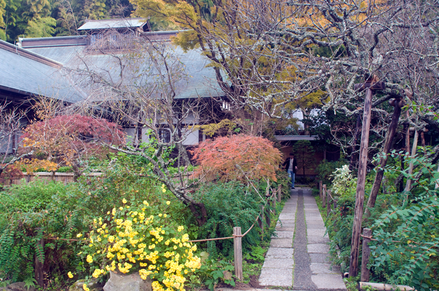f0176458_601840.jpg