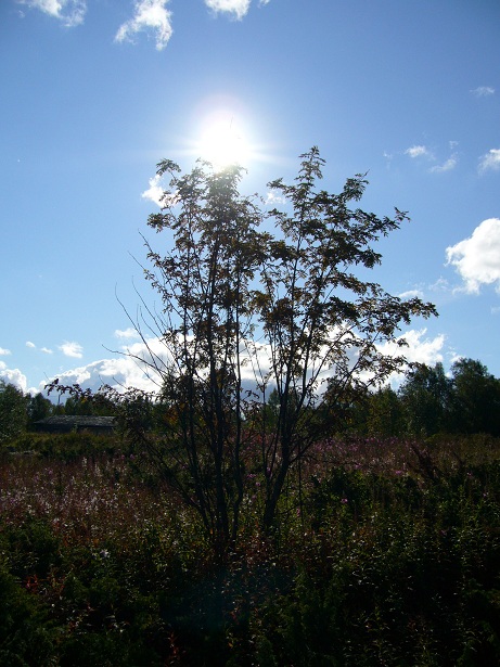f0223565_21233526.jpg