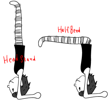 e0158970_1251542.png
