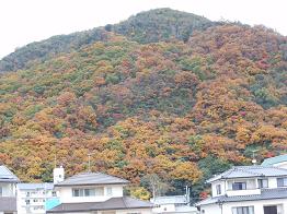 師走の紅葉は,つかの間_e0175370_821146.jpg