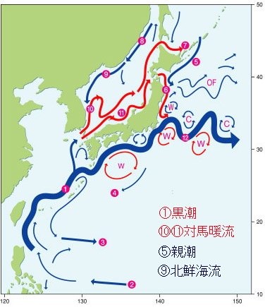 日本人をみて納得させられたこと、フクシマはジェノサイドであったと by Howard Francis_c0139575_20383329.jpg