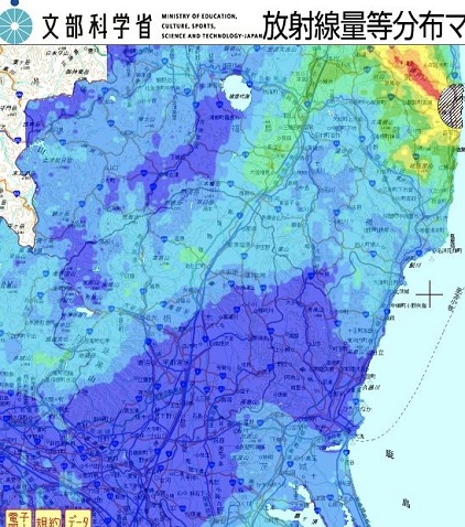 セシウム137汚染食品による内部被曝の影響 オリーブ_c0139575_20554737.jpg
