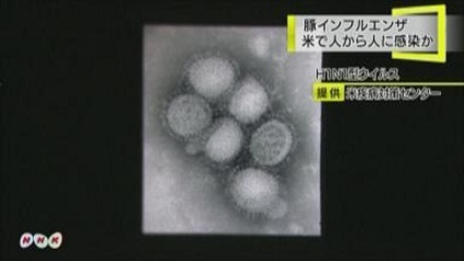 「人類終了のおしらせ」 だそうです_c0139575_5233990.jpg