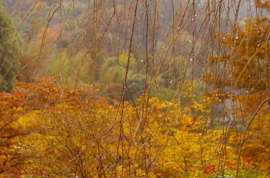 a0142976_19391.jpg