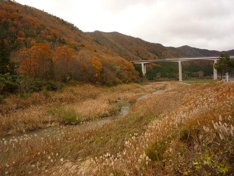 c0086176_971295.jpg
