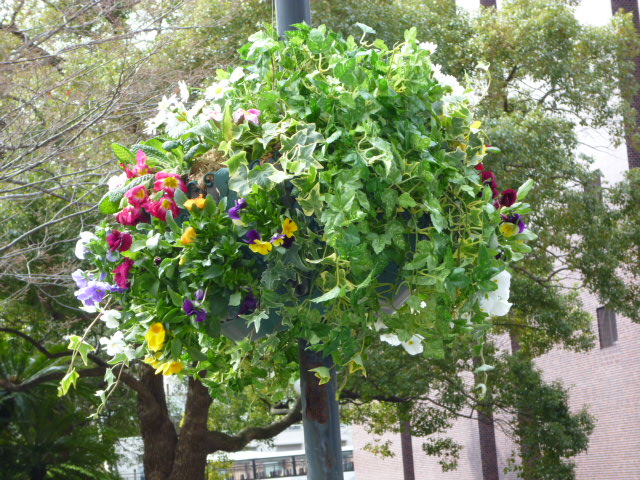 f0200477_21595762.jpg