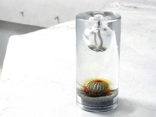 Cactus oil lamp_a0025778_15371218.jpg