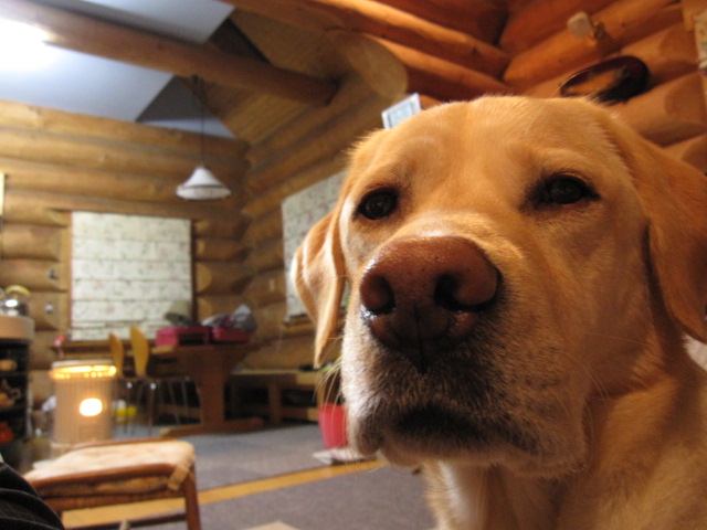 b0134278_20403211.jpg