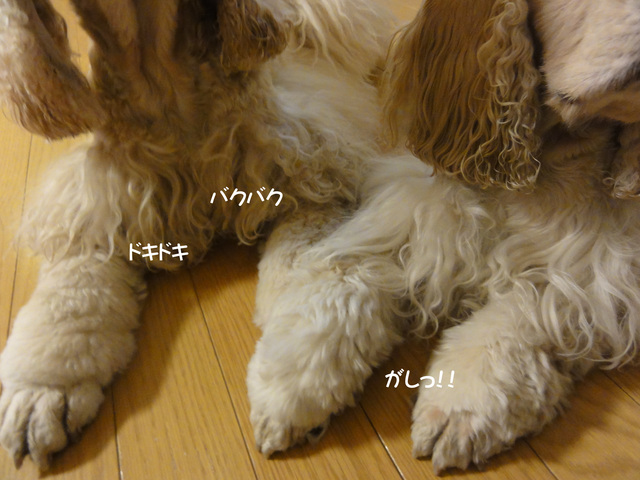 f0218182_1653412.jpg
